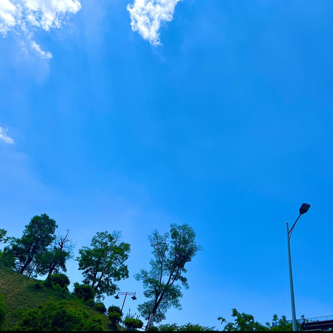 萝卜稀饭加猪油