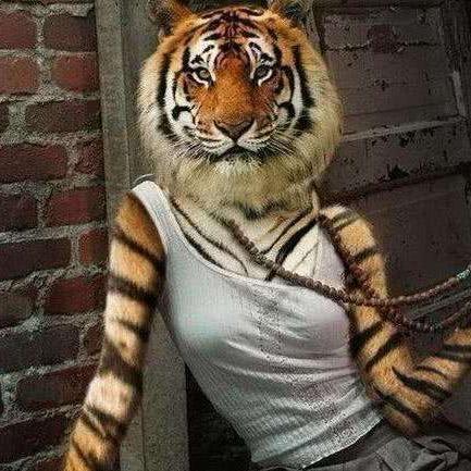 你去和狗坐一桌吧