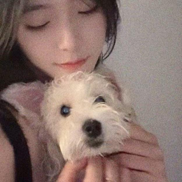 别说笨蛋话