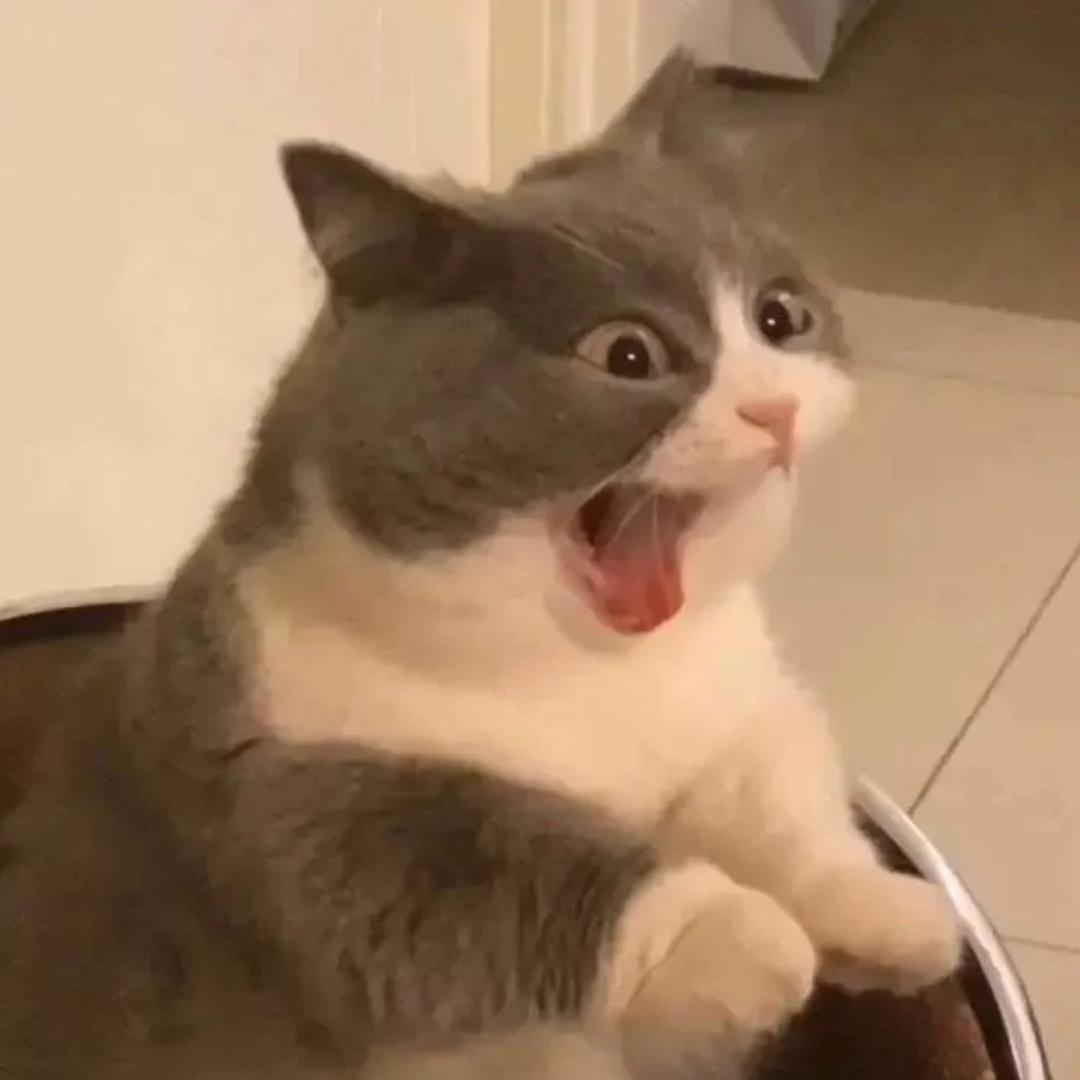 闻吱