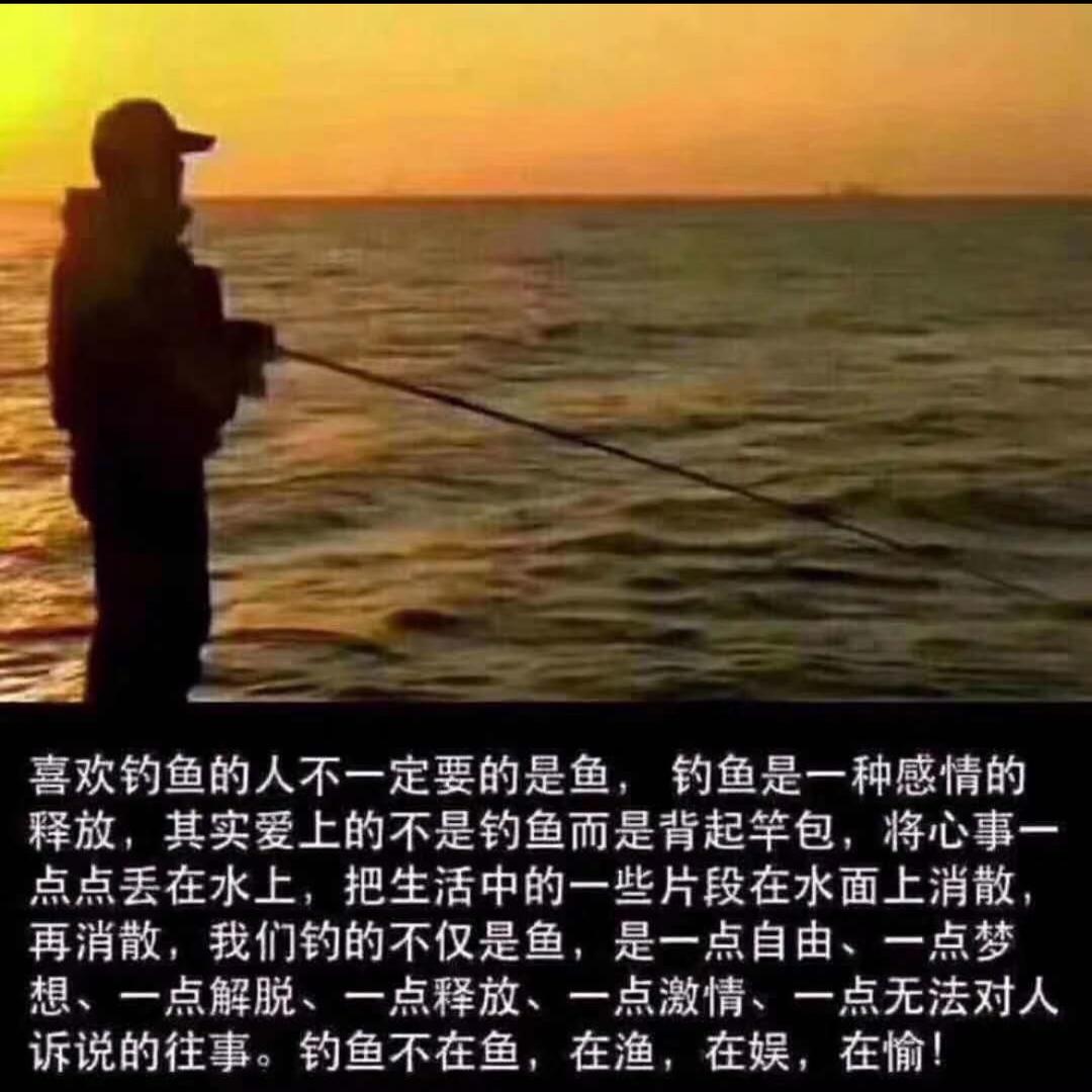 传统七星漂钓鱼