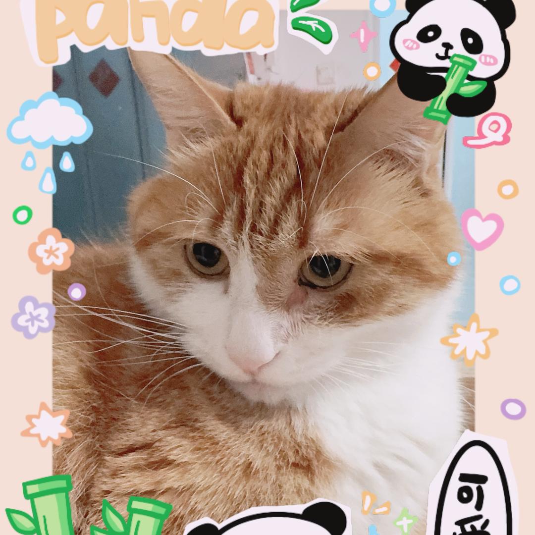 alicenic(请勿连赞谢谢！