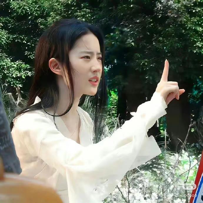 公主爱吃叫花鸡