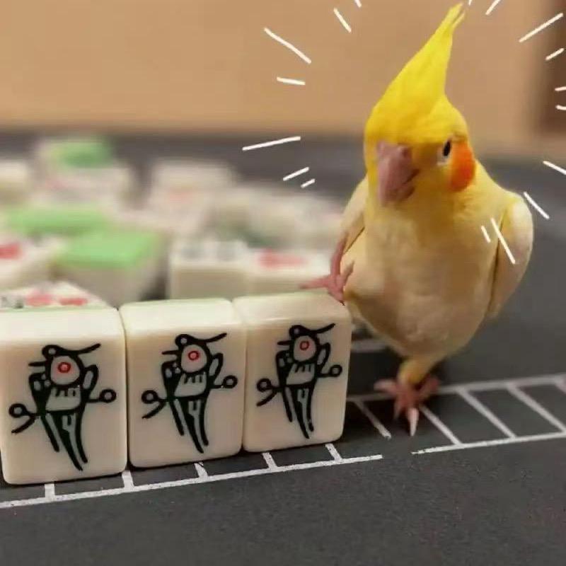 强强爱搓麻将🀄️