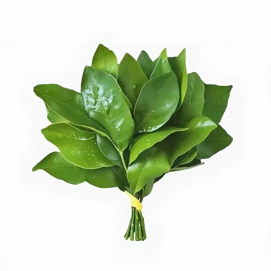 知芝🇨🇳