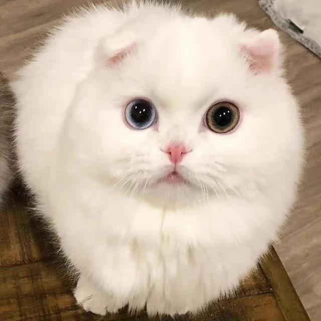 小白白厨具百货