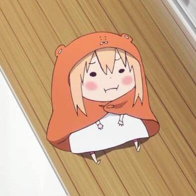 猫猫很猫猫