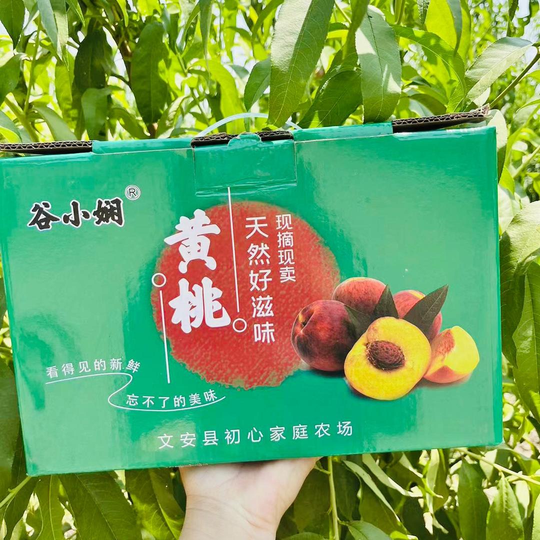 谷小贤