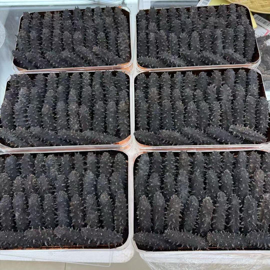 丽丽海参工厂店