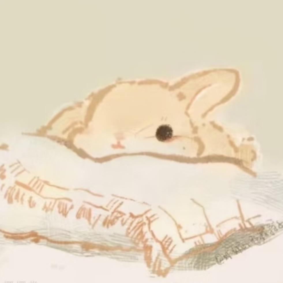 美u