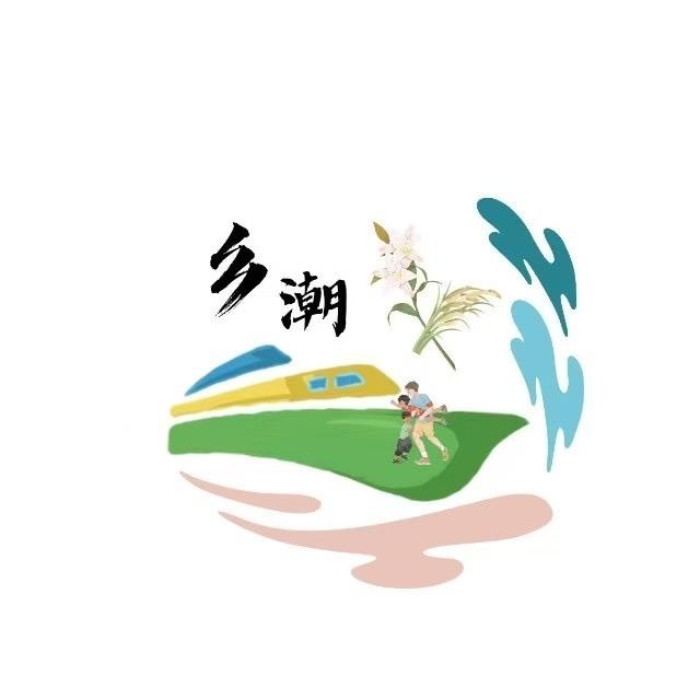 乡潮青年行动实践团