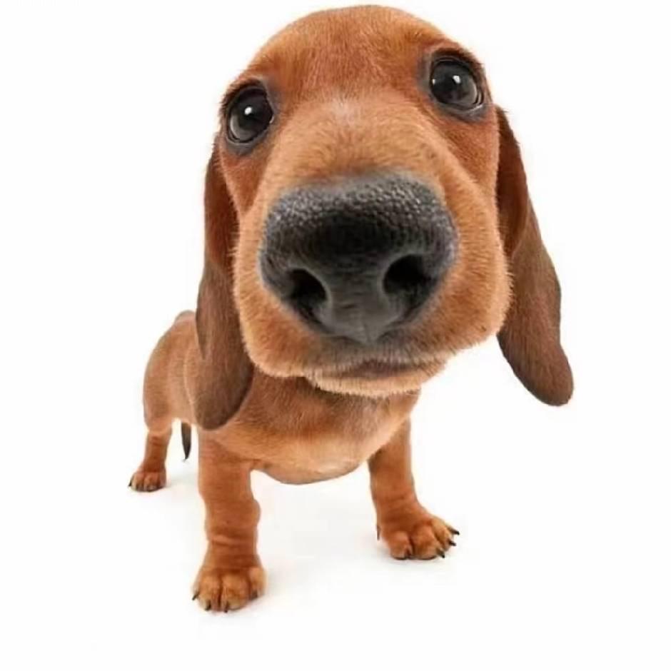 ღ᭄人间꧔ꦿ᭄ 过客ღ᭄