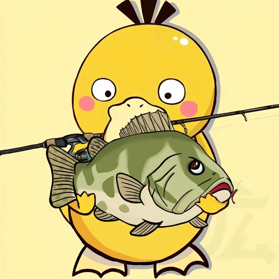 水阳鳜子手🎣