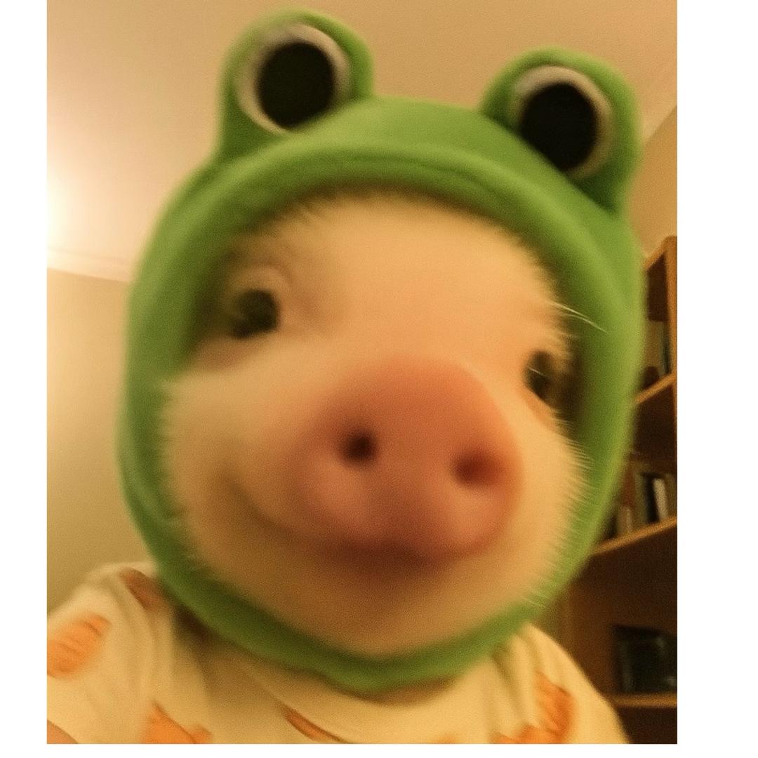 布丁牛奶🍼
