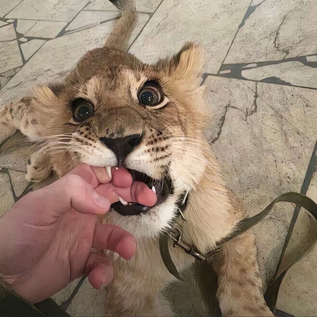 活着不玩不如死