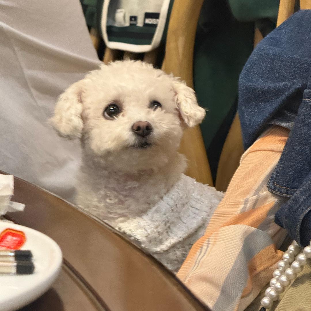 空中的云