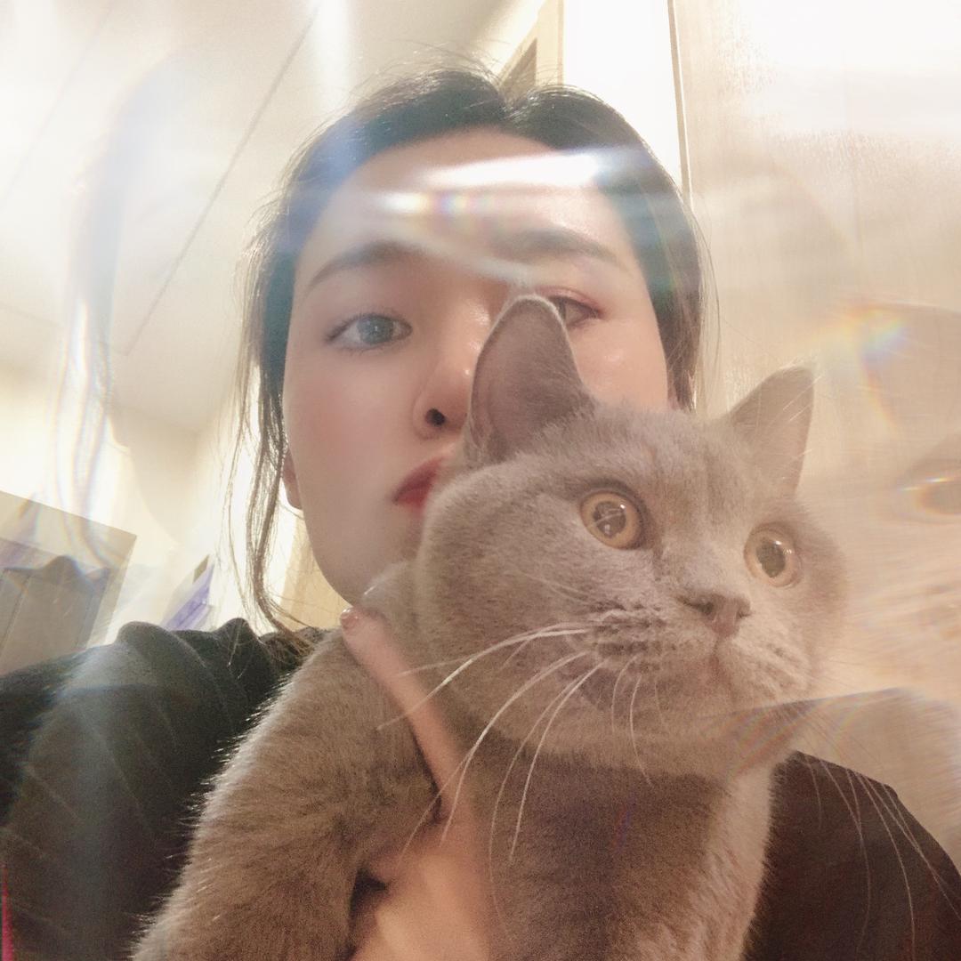 赵小姐