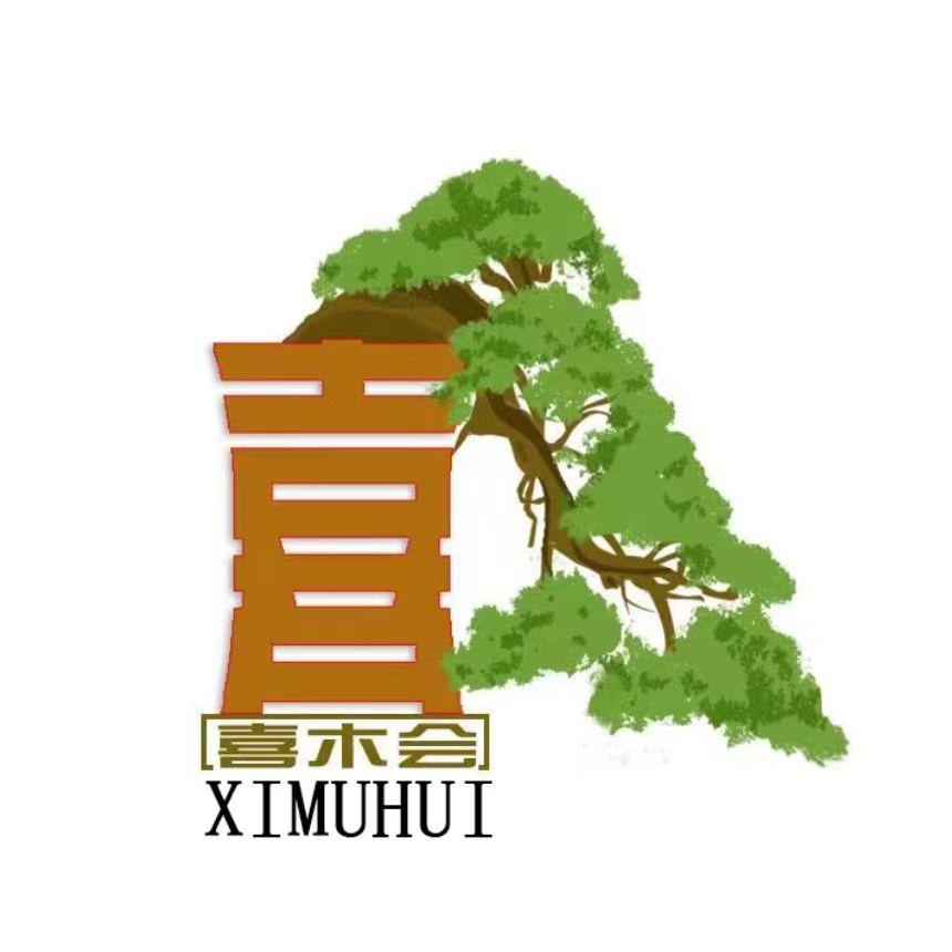 喜木会盆景