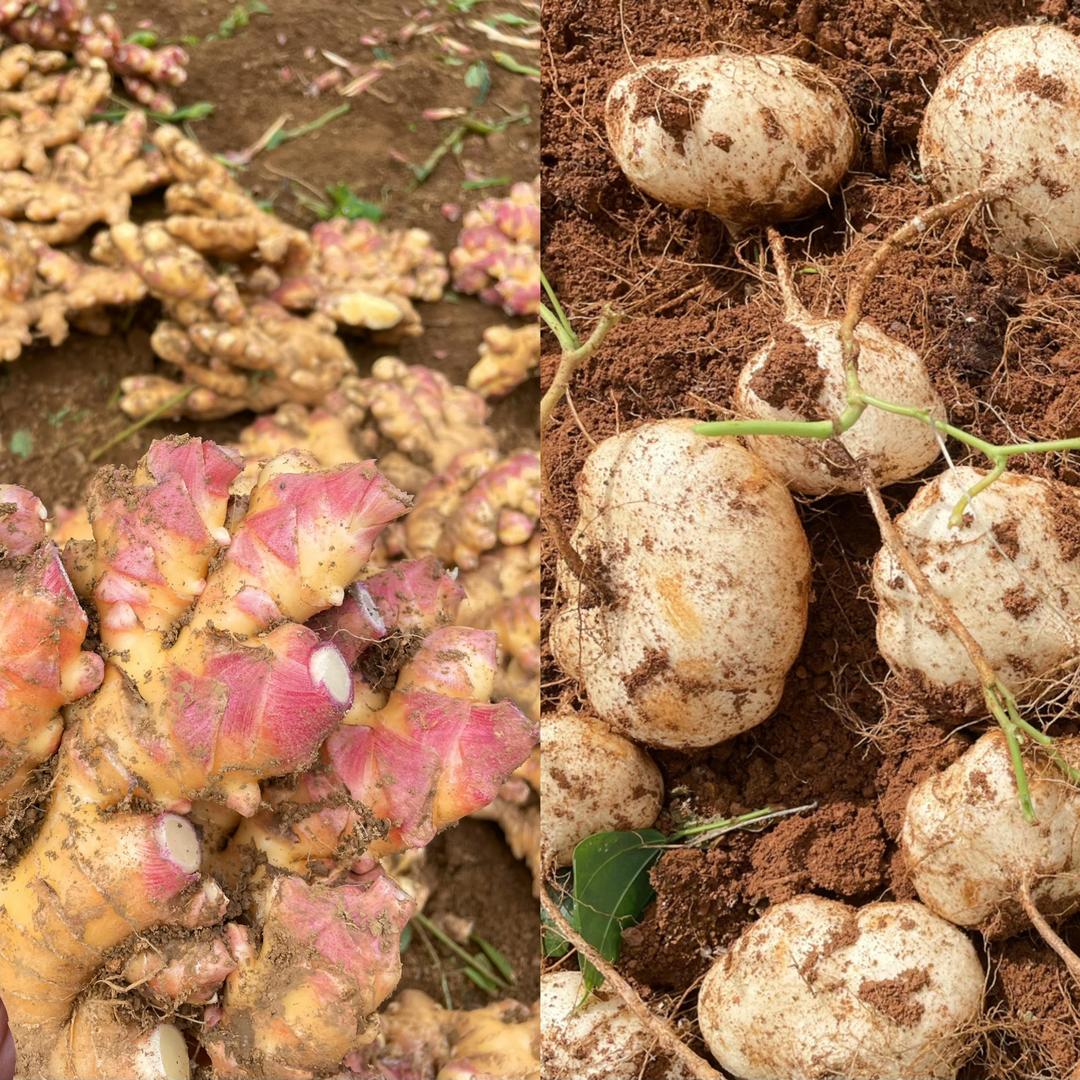 云边小店·应季果蔬