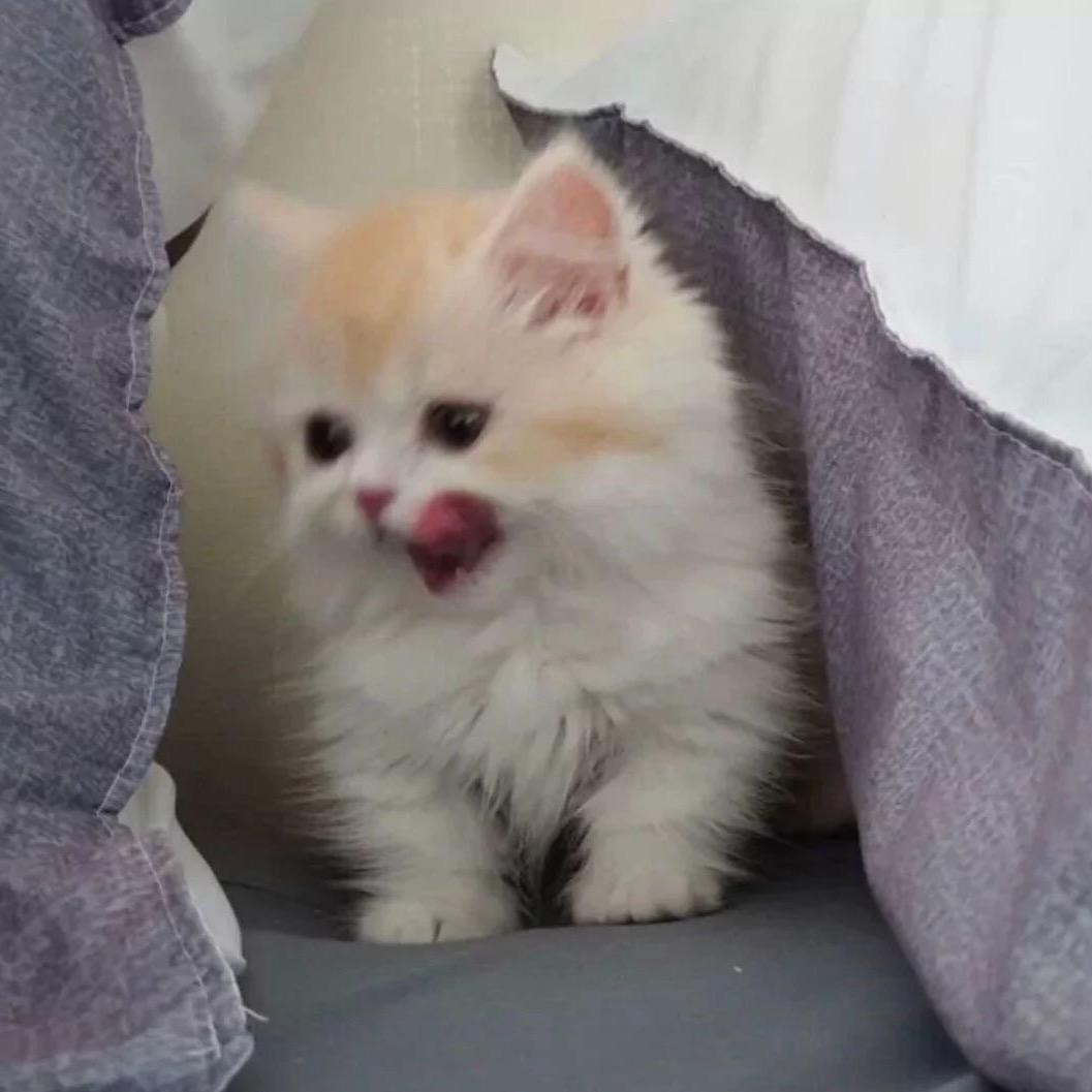小李不讲理