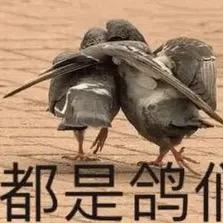诗槐