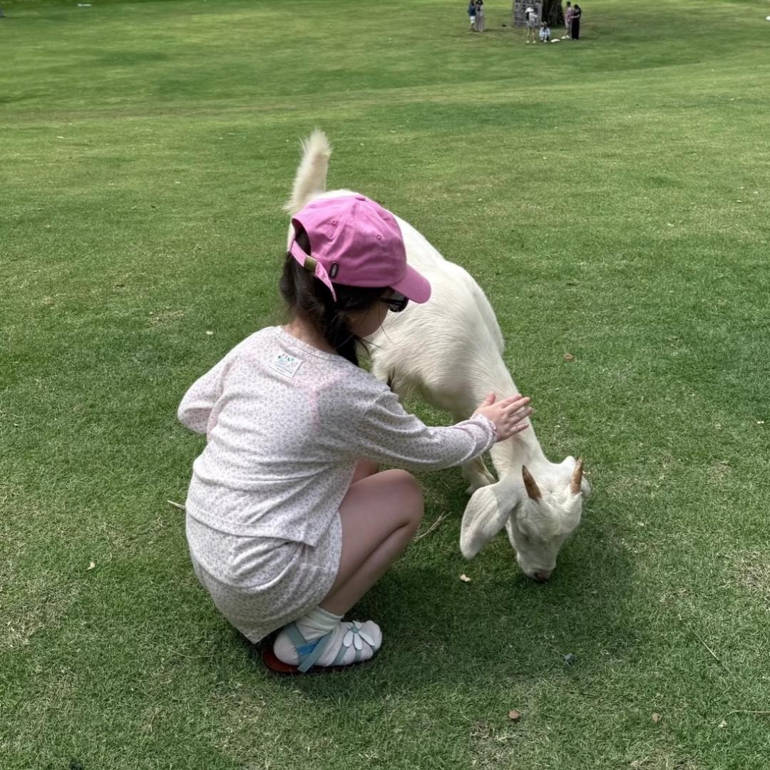 椰椰