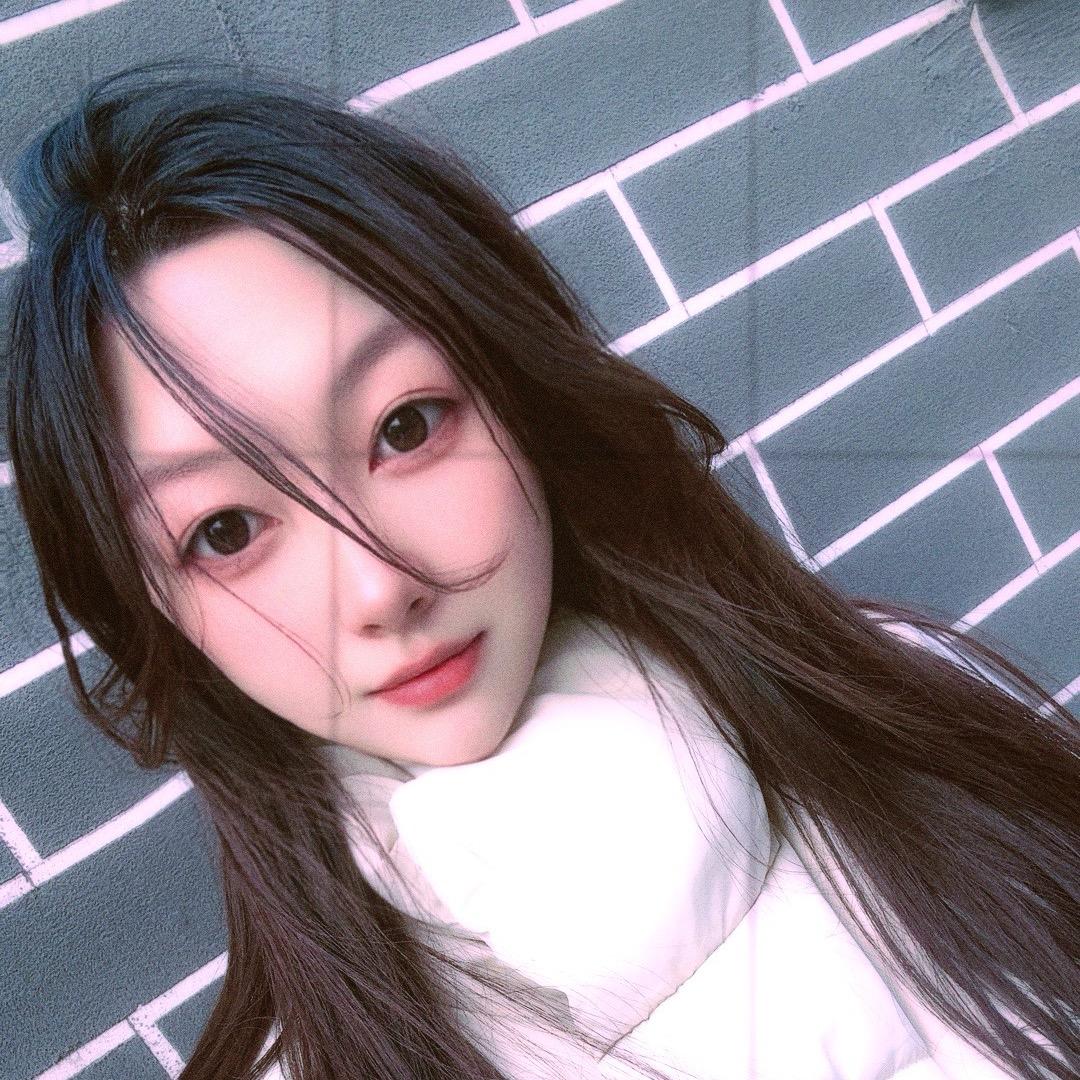 呆羊羊@