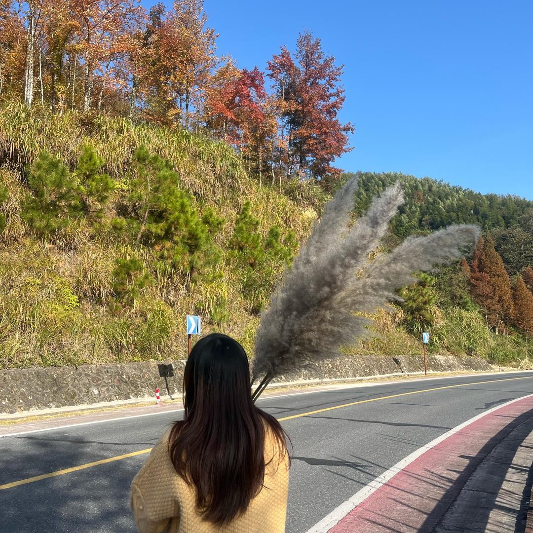 李李聊就业（央国企）