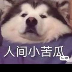 咖啡不加糖