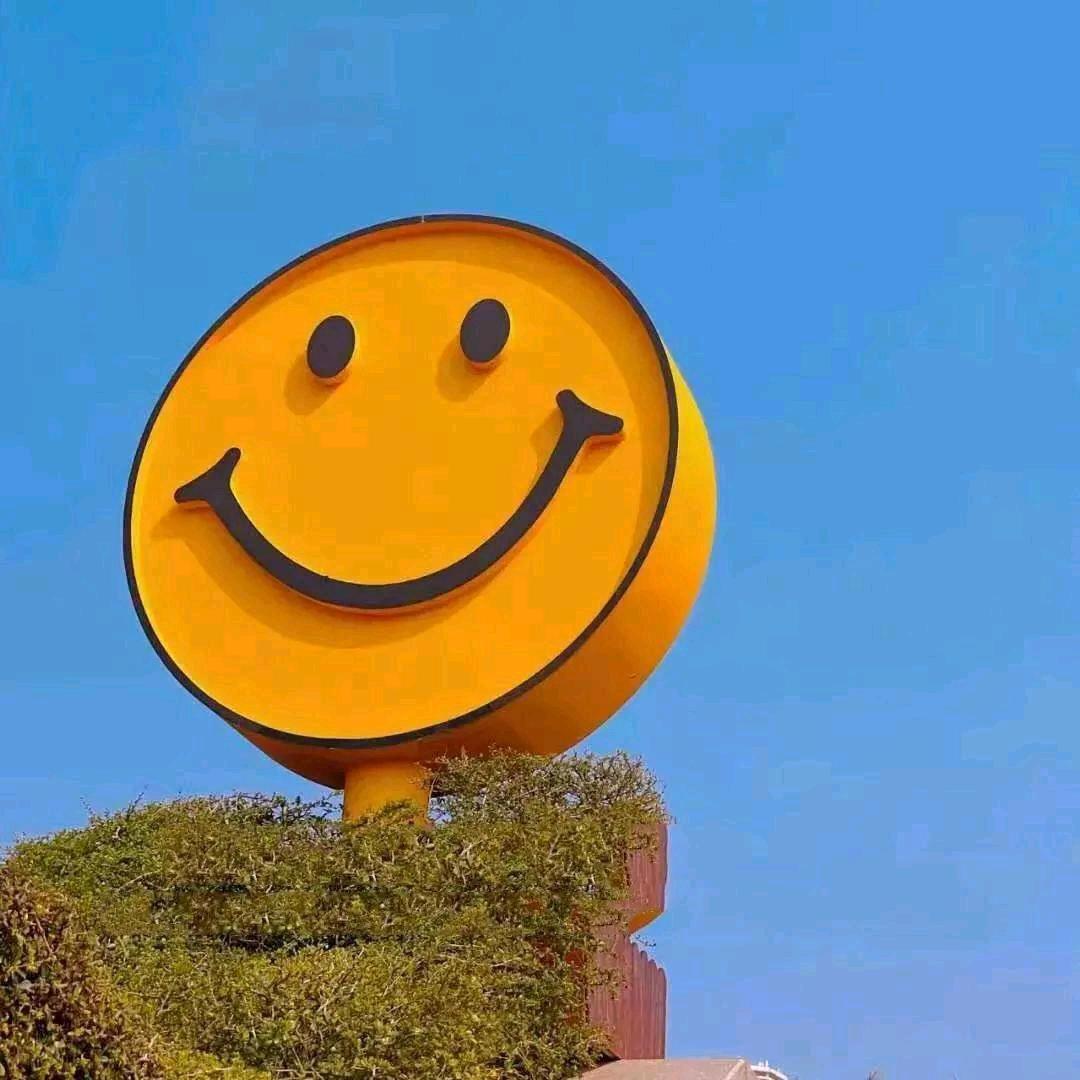 上海朱哥