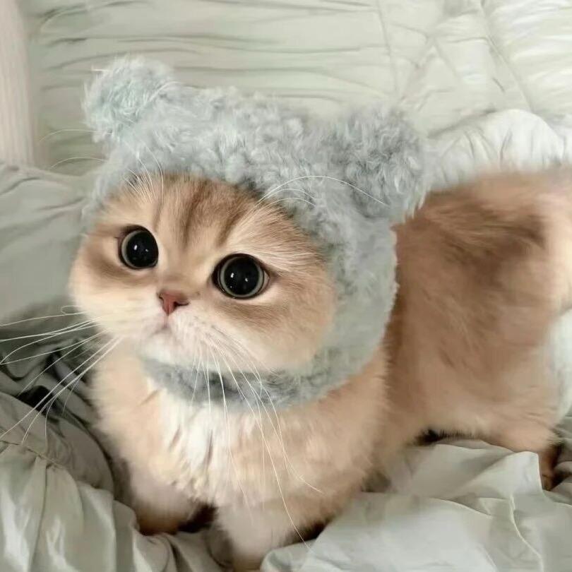 珍儿