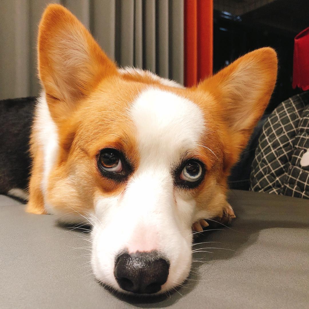 请叫我美少女壮士