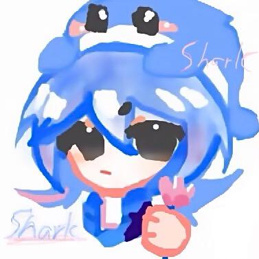 Shark 🦈