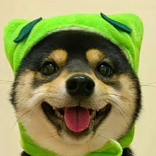 金铲铲小韩