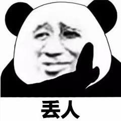 一只会通宵的猫
