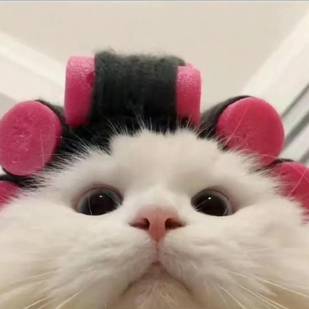 i吖吖