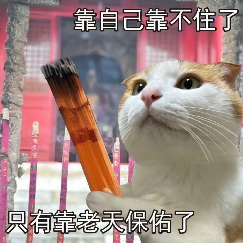 少吃不吃