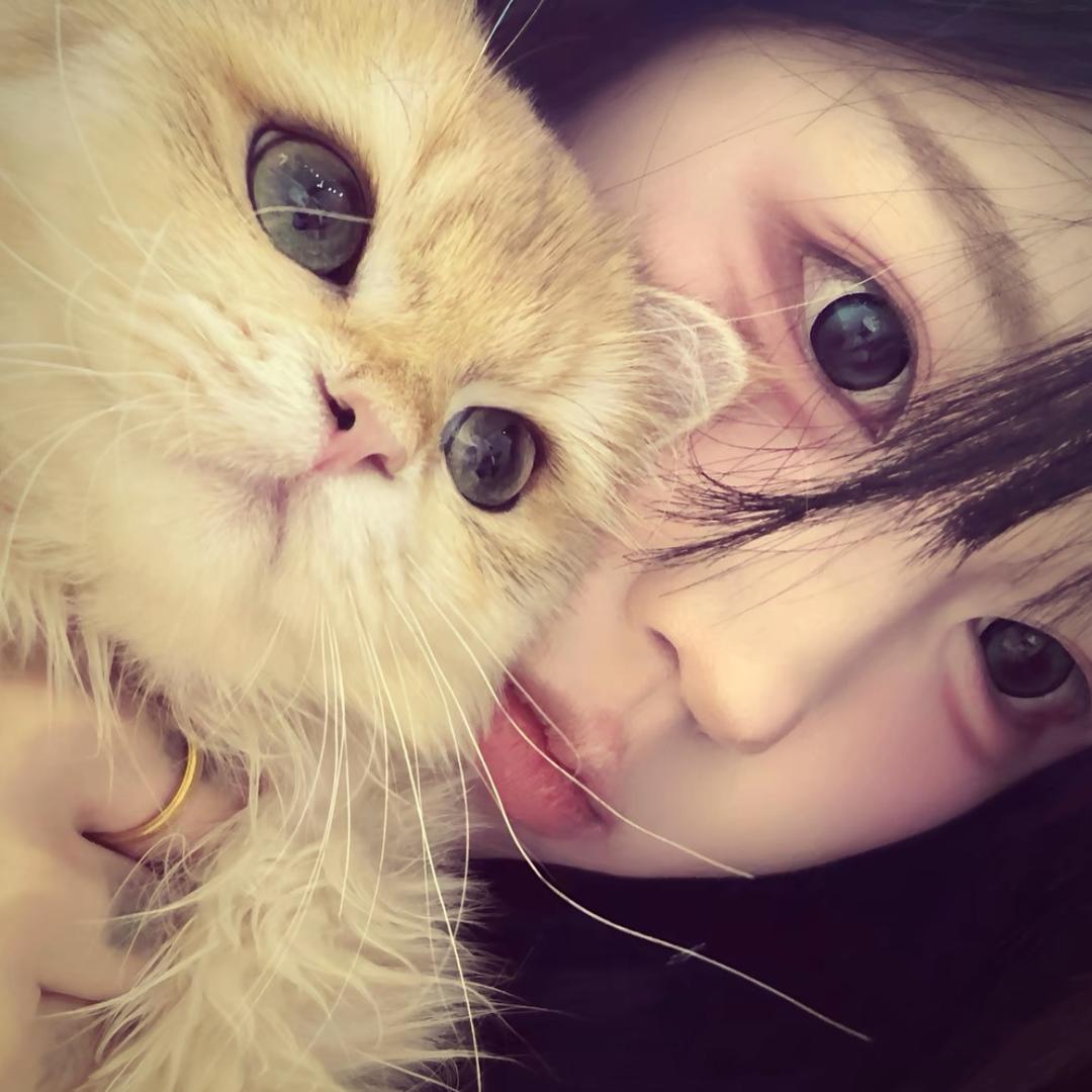 凌晨懒猫.
