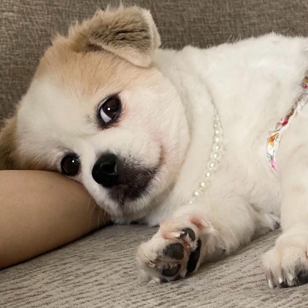 不知名的H
