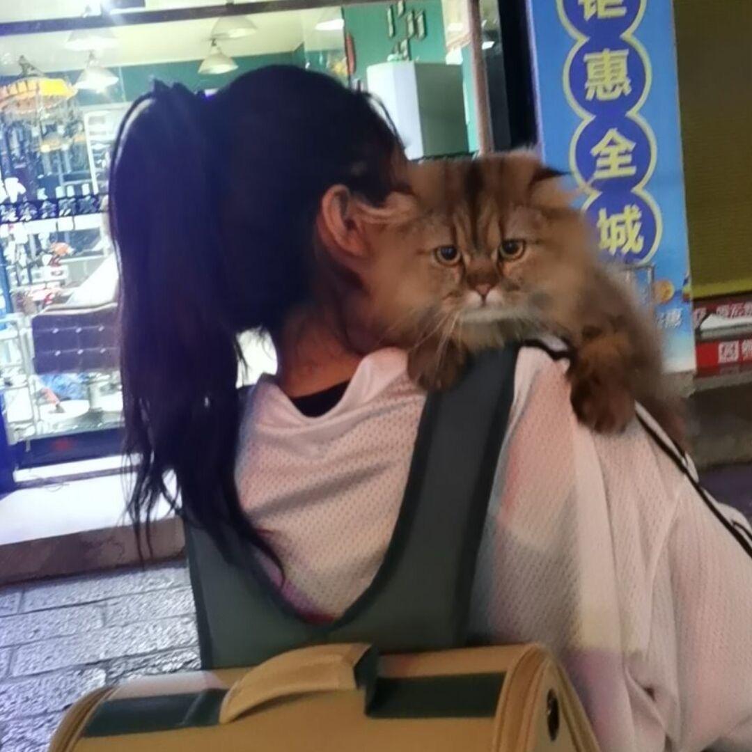 我是你们的帅哥哥
