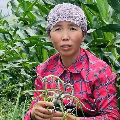 灌木林