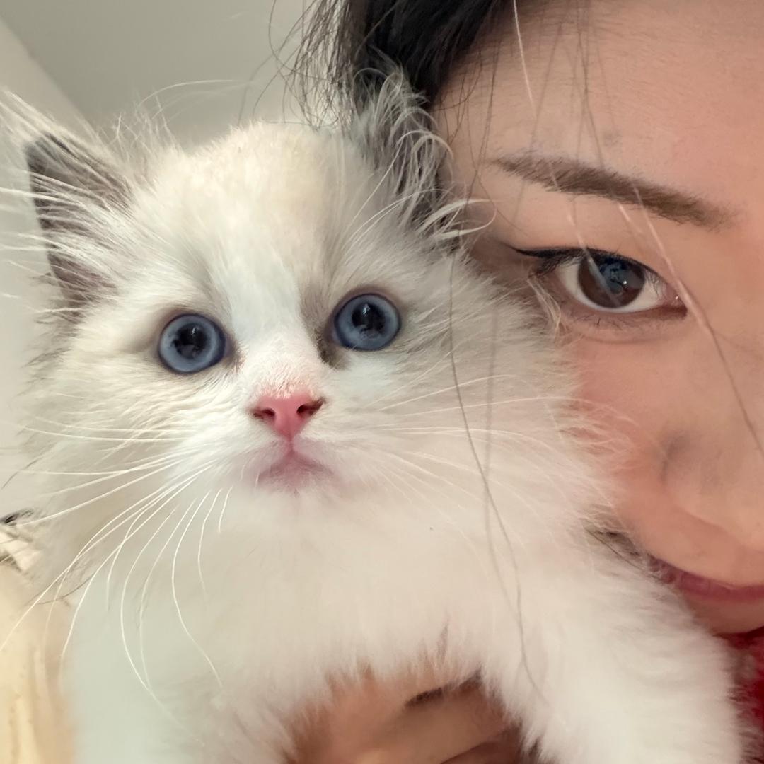 美女的朋友圈