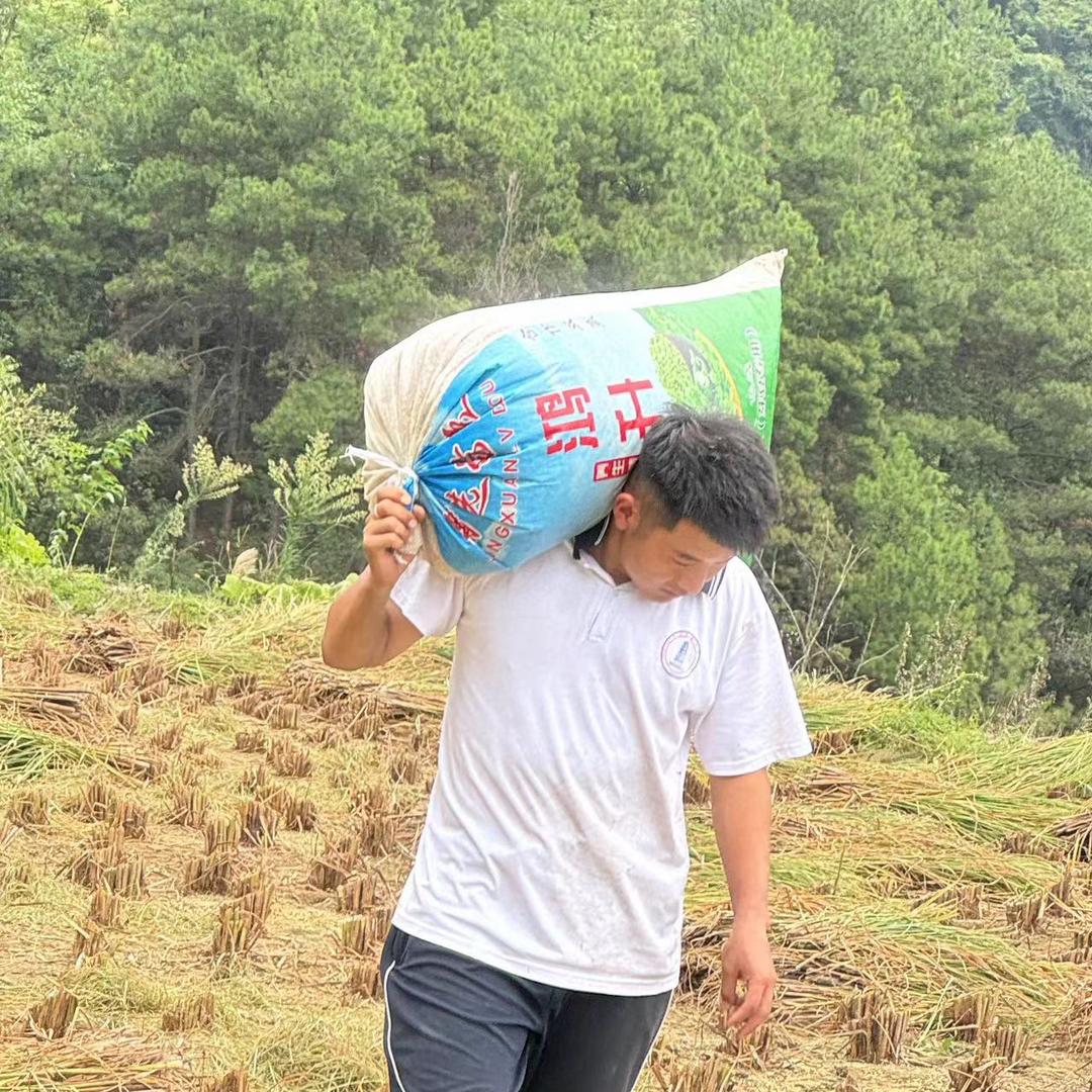 陈同志（生活号）