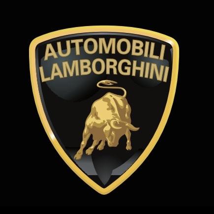 AutomobiliLamborghini惠炎熙鞋类专卖店
