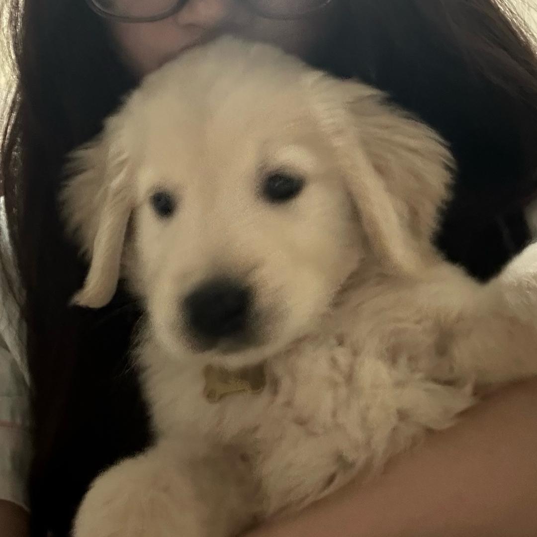 多多🐶.