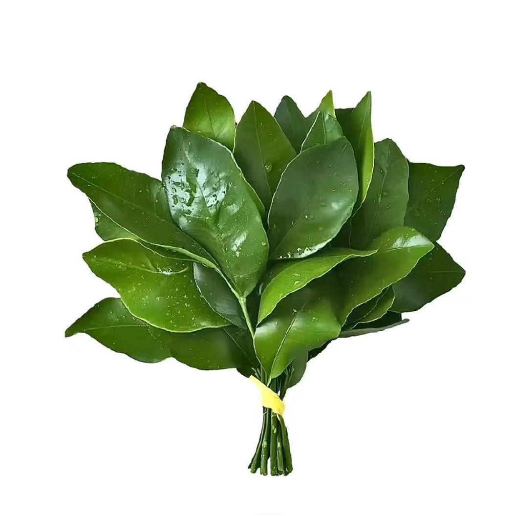 睡个好觉^