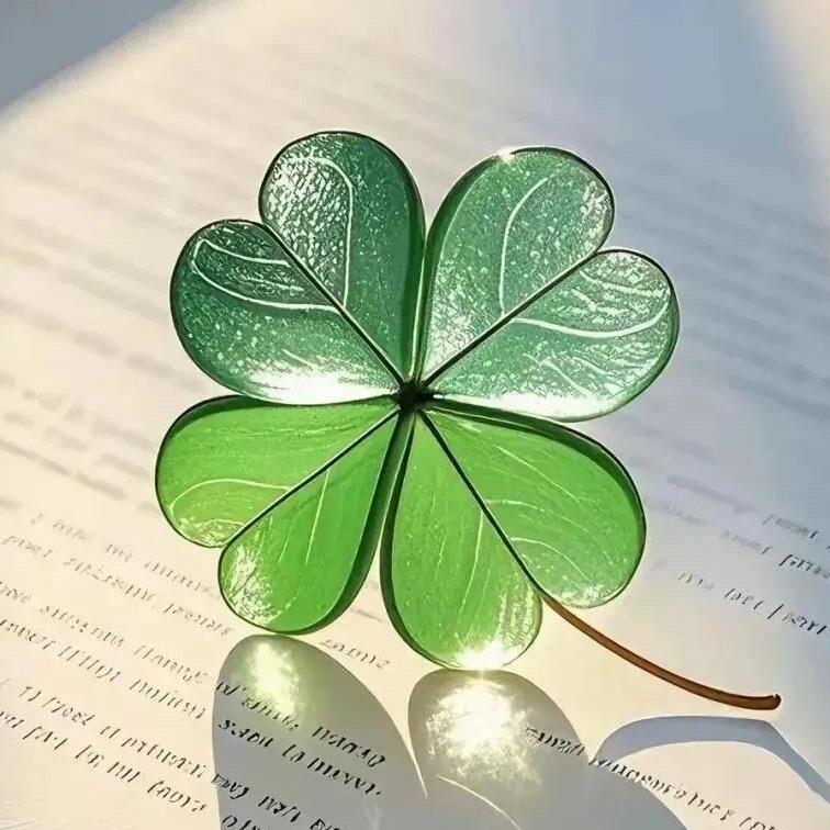 雅露丝时尚生活馆