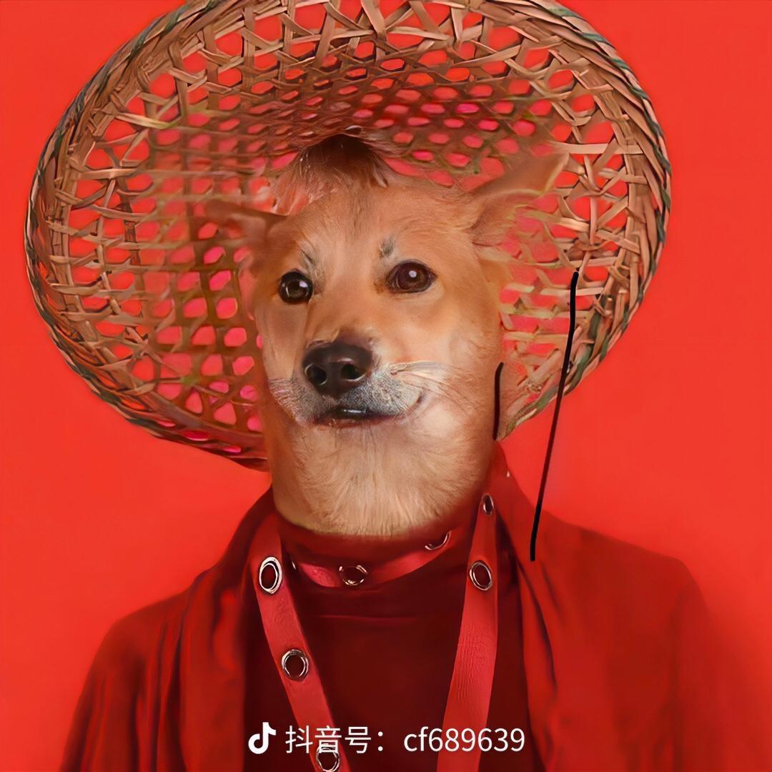 H灬