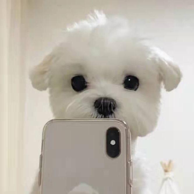 迈科智能化