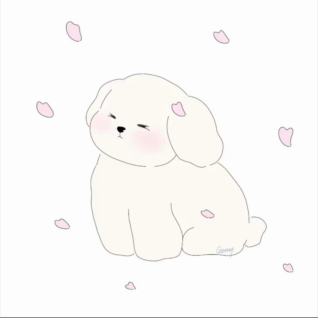 小橙🦋